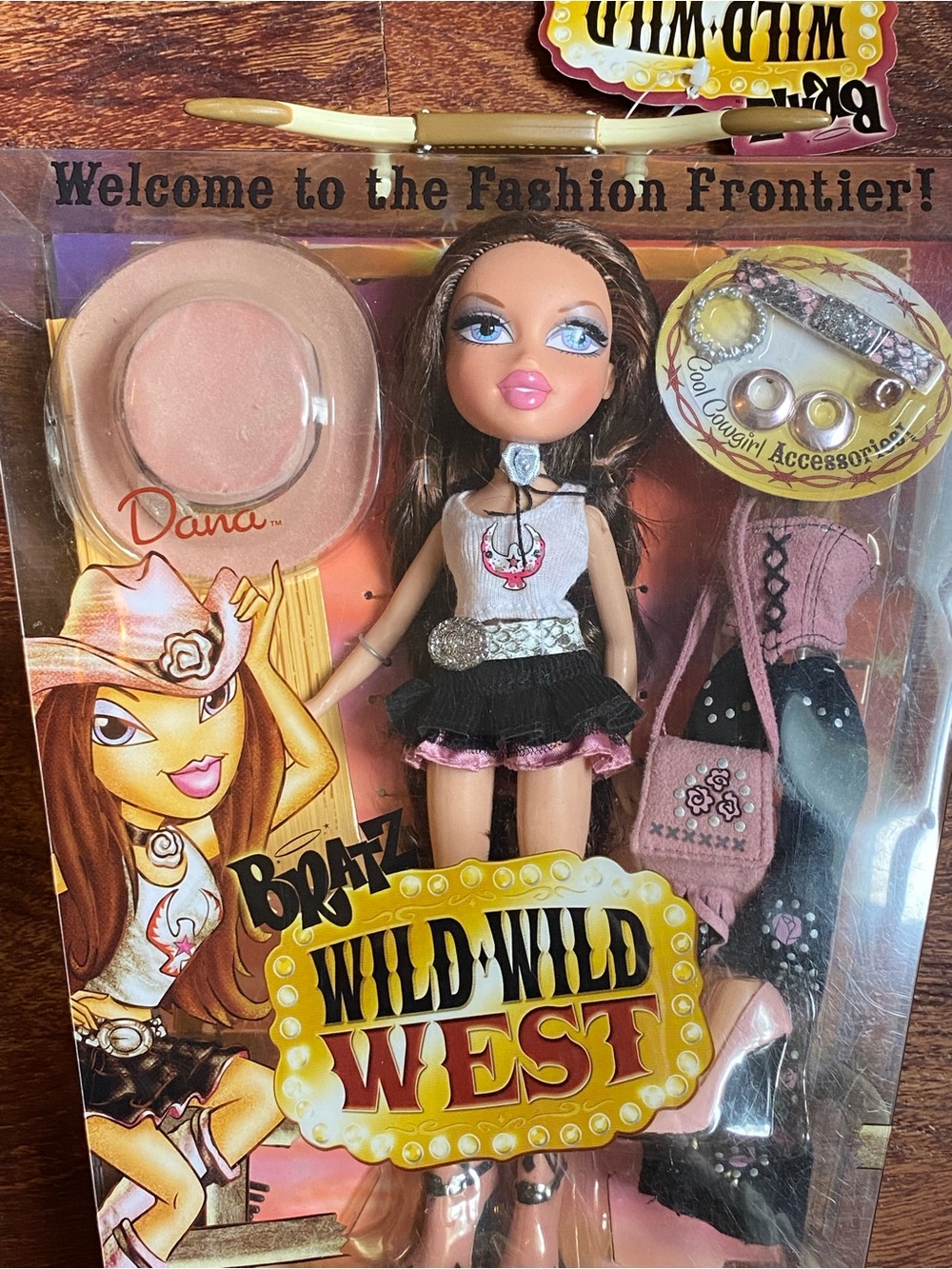 Bratz Wild Wild West Dana Doll with Pink & Black Outfit NIB